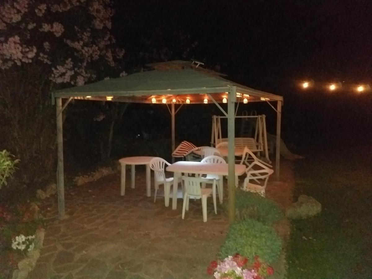 Apartamento Garden Basement - Seminterrato Max 4 Ospiti - Fiumicino Vicino Aeroporto E Fiera Exterior foto