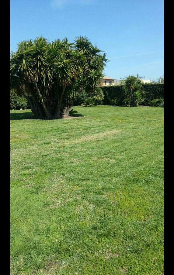 Apartamento Garden Basement - Seminterrato Max 4 Ospiti - Fiumicino Vicino Aeroporto E Fiera Exterior foto